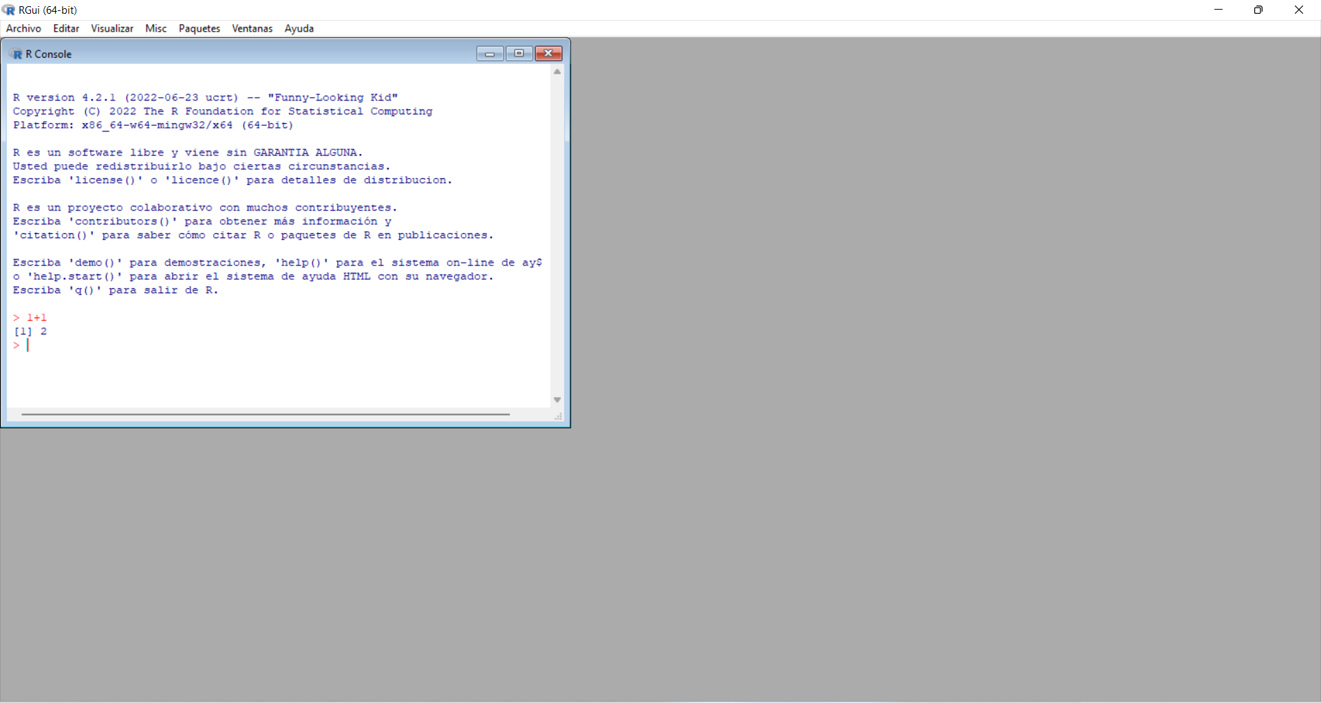 Consola de R